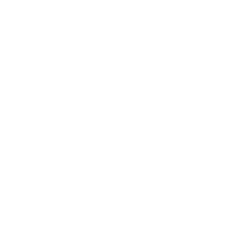 STEAM